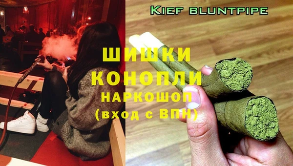 ПСИЛОЦИБИНОВЫЕ ГРИБЫ Гусиноозёрск