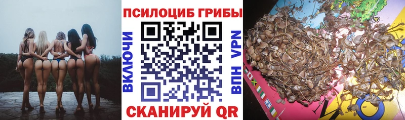 Псилоцибиновые грибы Magic Shrooms  Купить  Лукоянов 